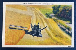 Mint USA Color Picture Postcard Harvesting Wheat In The Pacific North West