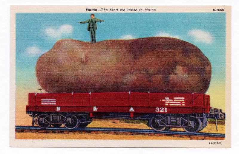 A 1930s exaggerated postcard.