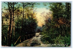 1911 Round Lake Drive Monroe NY Posted Antique Rogers Drugstore Postcard 