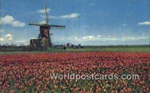 Bloementooi Holland Netherlands Unused 