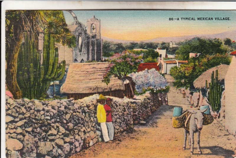 P1958 vintage postcard peaceful colorful typhical mexican village donkey unused