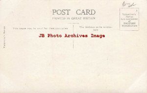 Great Britain, UK, England? RPPC, Farm Work Horses, Valentine Series Photo