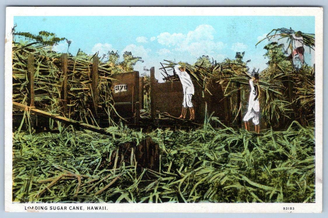 1920'S Loading Sugar Cane*Honolulu Paper Co*Hawaiian Territory*Postcard United States