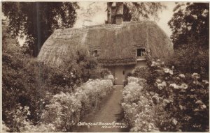 New Forest England~Cottage at Swan Green~1931 Sunshine Sers Real Photo POSTCARD