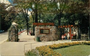Postcard Michigan Grand Rapids Ball Zoological Gardens 1950s Crocker 23-6377