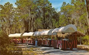 Weeki Wachee's Covered Wagon Train Florida