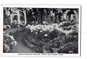 St Louis Missouri MO Vintage Postcard Forest Park Chrysanthemum Display Flowers