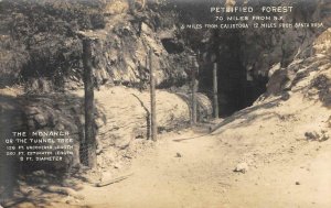 RPPC Petrified Forest, Monarch Tunnel Tree Calistoga, CA c1930s Vintage Postcard