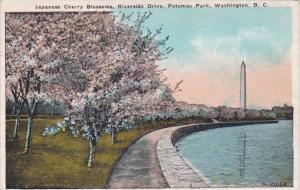 Washington D C Potomac Park Japanese Cherry Blossoms Along Riverside Drive