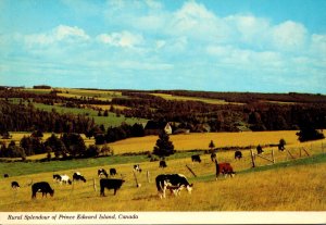 Canada Prince Edward Island Rural Splendor Grazing Cattle and Green Pastures ...