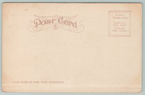 Omaha Nebraska~City Hall Bee Building & Courthouse~Vintage Postcard 