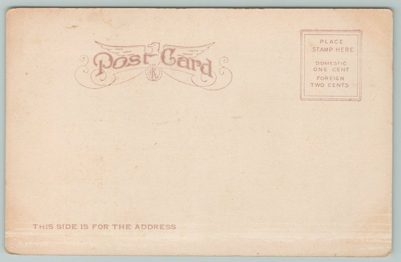 Omaha Nebraska~City Hall Bee Building & Courthouse~Vintage Postcard 