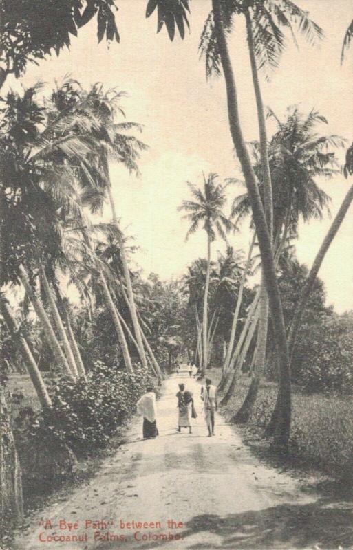 Ceylon A Bye Path between Coconut Palms Colombo 02.96