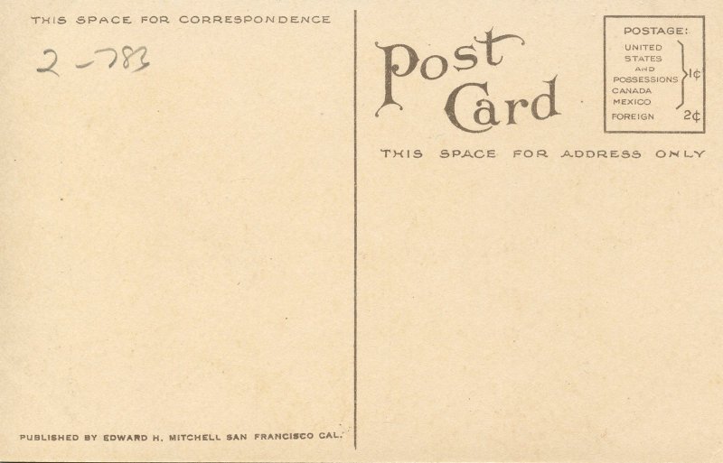 Flowers -  Heliotrope                             (Edward H. Mitchell #3092)