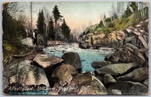 Postcard Byng Inlet ONT c1908 A Pretty Spot Still River Scenic by Geo. Moore PSD