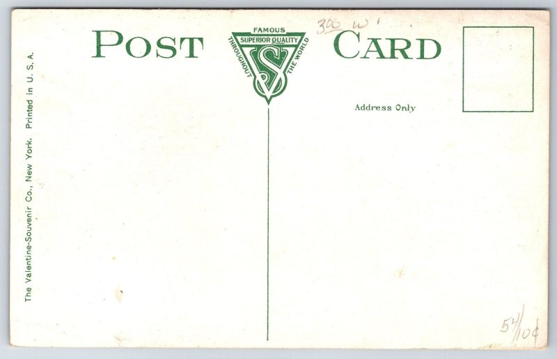 Terre Haute Indiana~Wiley High School~Huge Dormers, Thin Chimneys~c1910 Postcard