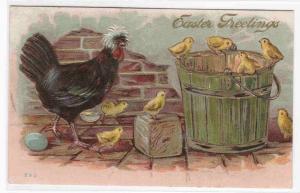 Easter Chicks Hen Greeting 1911 postcard