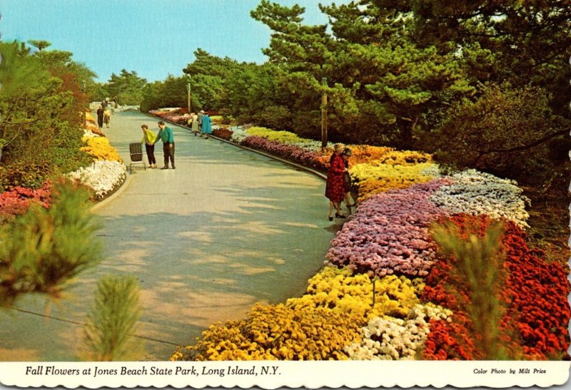 New York Long Island Jones Beach State Park Fall Flowers