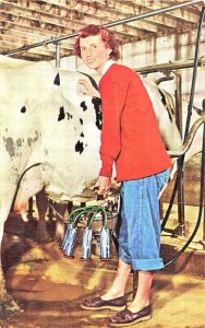 Surge Dairy Farm Equipment Beautiful Woman Milking Cow Postcard