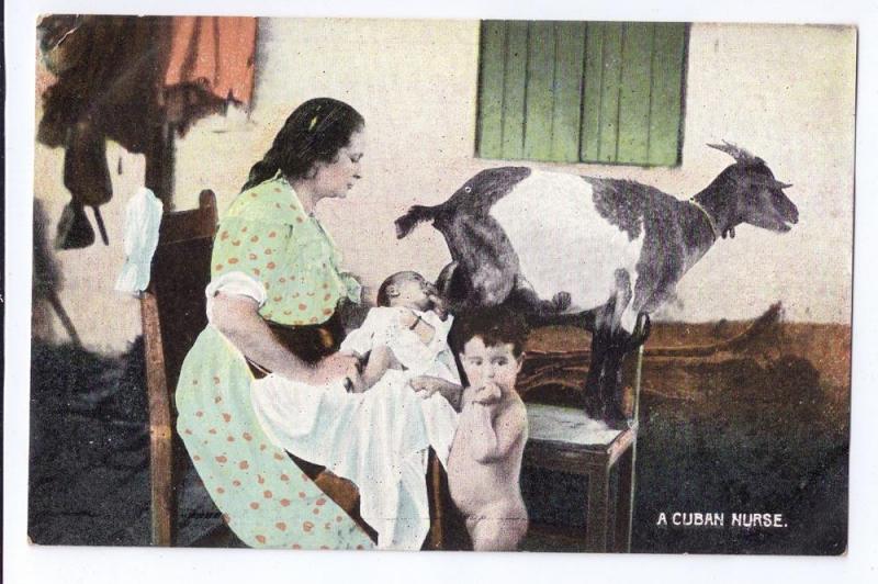 Cuba Nurse Baby Nursing From Goat ca 1910