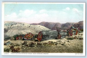 Adamana Arizona AZ Postcard View On Second Petrified Forest Scene c1920s Antique