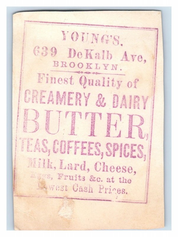 1880s Young's Teas Coffees Spices Creamery Dairy Birds & Eggs Lot Of 2 F9