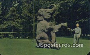 Indian Elephant, Zoological Gardens - Cleveland, Ohio OH Postcard