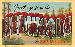 Redwoods of California Redwood California  