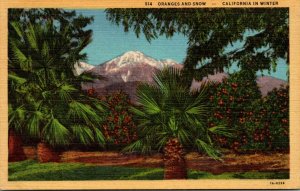 California In Winter Oranges and Snow Curteich