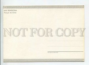 442250 SPAIN Behidorm tourist advertising postcard