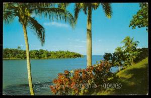 Topical Splendour - Jamaica