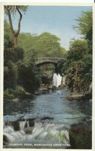 Northumberland Postcard - Jesmond Dene - Newcastle upon Tyne   ZZ1439