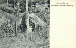 PC JAMAICA, LILY POND, CASTLETON GARDENS, Vintage Postcard (b40001)