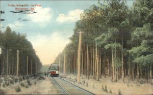 Montgomery AL Trolley Riding in the Pines c1910 Postcard