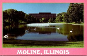 Illinois Moline John Deere Company Administrative Center With Swans On Lake