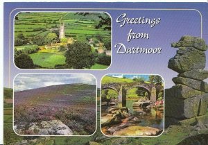 Devon Postcard - Greetings from Dartmoor   AB803