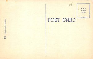 Royal Poinciana Tree Bermuda Postcard