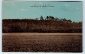 Bois du Châtelet Normandy Big Bertha emplacement WWI Postcard