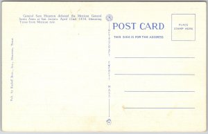 Houston TX-Texas, Cruiser Houston Buffalo River San Jacinto, Vintage Postcard