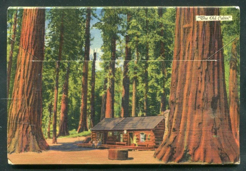 Mariposa Grove Big Trees Yosemite National Park linen postcard folder