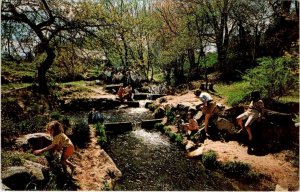 Brewster, MA Massachusetts BREWSTER MILL HERRING RUN  Kids~Fish VINTAGE Postcard