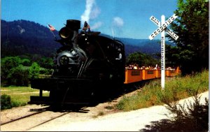 USA With Flags Flying Tuolumne Heisler Santa Cruz Train California Chrome C006