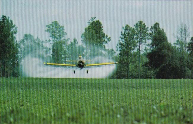 Georgia Crop Dusting A Peanut Farm