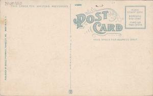 White Birches on Rangeley Lakes, Maine - DB