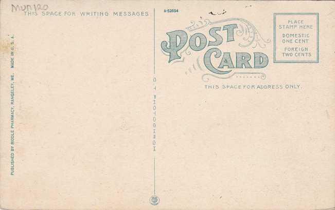 White Birches on Rangeley Lakes, Maine - DB