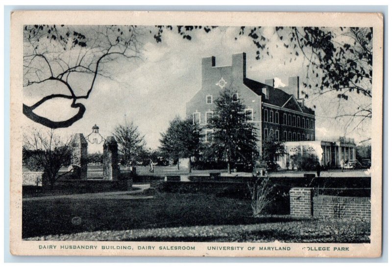 c1950's Dairy Husbandry Building Dairy Salesroom University of MD Postcard