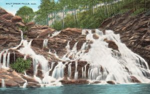 Vintage Postcard Salt Creek Falls Waterfall Spots Tourist Attraction Alabama AL