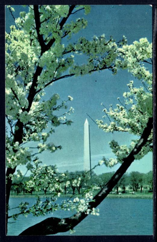 Washington Monument,Washington,DC BIN