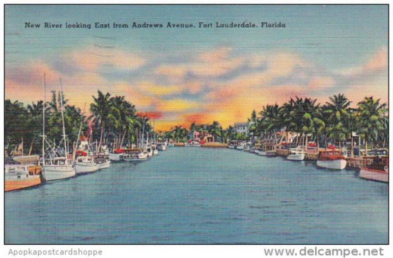 New River Looking East From Andrews Avnue Fort Lauderale Florida 1939