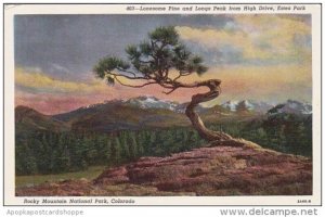 Colorado Rocky Mountain National Park Colorado Lonesome Pine And Longs Peak F...